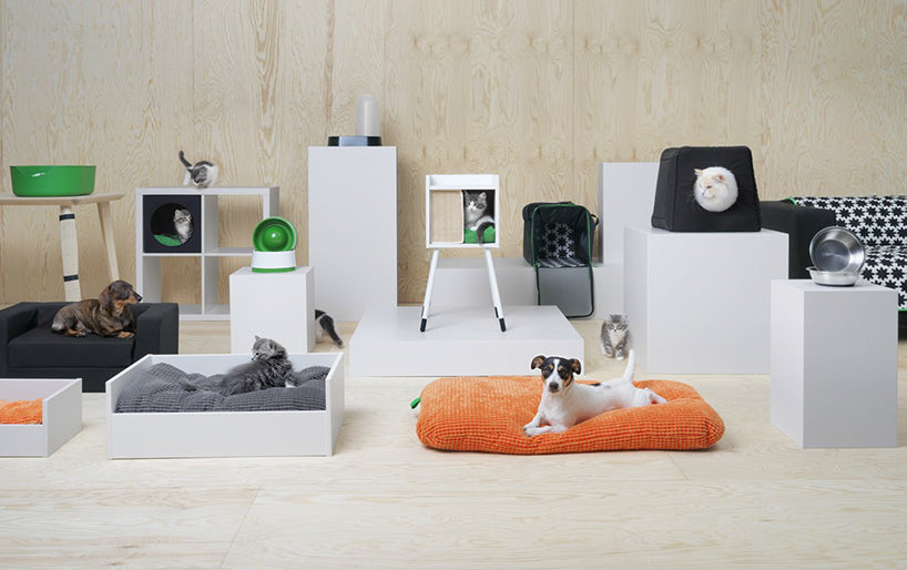 Pet Accessories