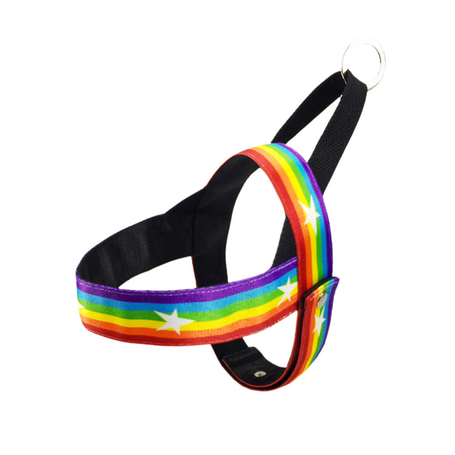 Rainbow cool dog chain dog leash