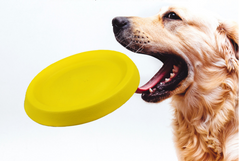 Pet Dog Frisbee Throwing Toy