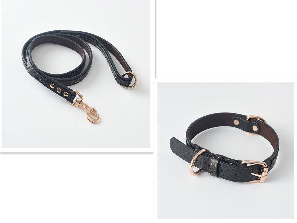 Pet Leash, Dog Leash, Dog Collar, Dog Leash