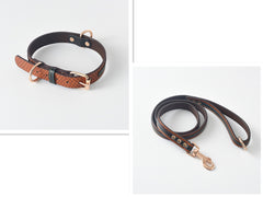 Pet Leash, Dog Leash, Dog Collar, Dog Leash