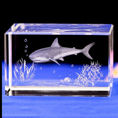 Shark specimen diver gift fish aquarium