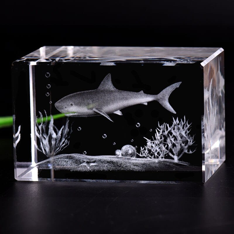 Shark specimen diver gift fish aquarium