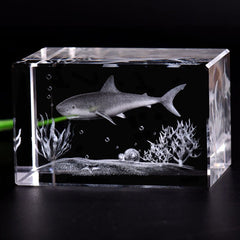 Shark specimen diver gift fish aquarium