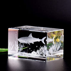 Shark specimen diver gift fish aquarium