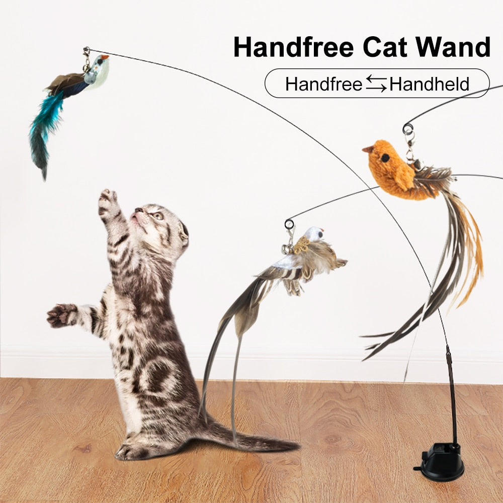 Handfree Bird/Feather Cat toys